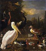 HONDECOETER, Melchior d, A Pelican and Other Birds Near a Pool,